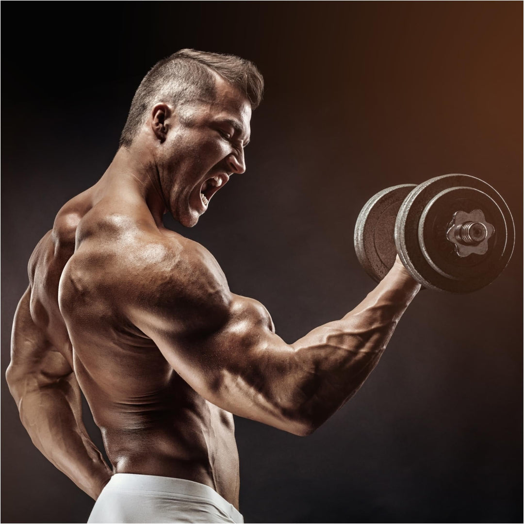 Set de gantere profesionale 20-60 KG MOVIT