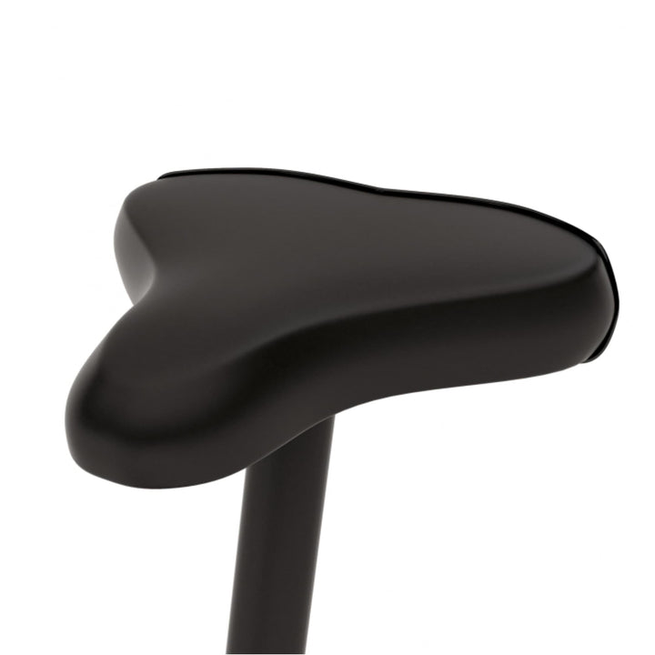 Bicicletă cardio cu afișaj LCD, Physionics - Gorilla Sports Ro