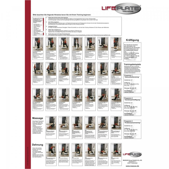 Poster de antrenament cu vibrații Lifeplate - Gorilla Sports Ro